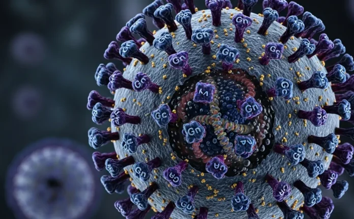 Andes Virus