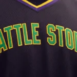 Seattle Storm: A Complete Look at the Team, History, and Future Prospects