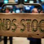 ONDS Stock Analysis: Growth Potential, Risks, and Future Outlook for Investors